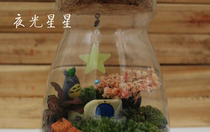 Night Pentagon: Style random shipping unit price for one price