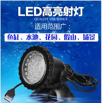 Fish tank light LED spot light Rockery fish pond garden landscaping light Remote control color changing diving light LED waterproof light Decorative light