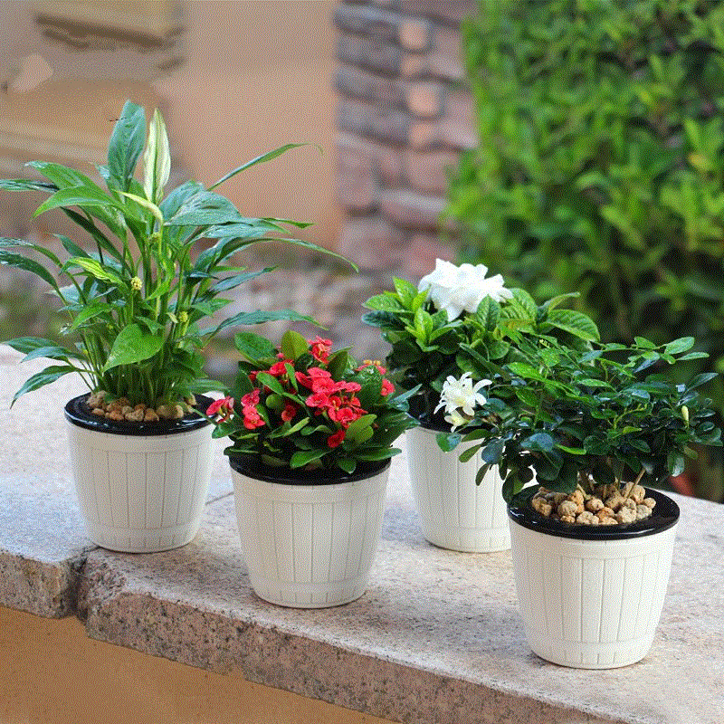 白色花盆栽仿真假绿色多肉植物绿植装饰品摆件小盆景组合创意摆设_7折