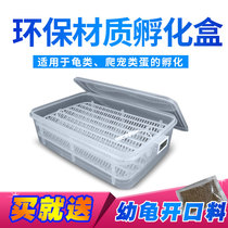Turtle egg turtle treasure non-medium incubator box multifunctional hatching basin tortoise water tortoise climbing pet anti-shake incubator large
