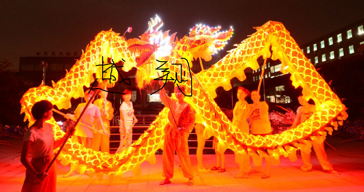 3期免息舞龙舞龙道具牛津布烫金灯光龙国标龙龙皮亮铜线led灯光龙_双