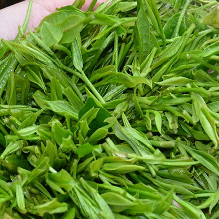 信任的一款野生茶叶只采春茶    只采头道茶只做野茶    只做高山茶1