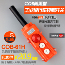COB-61H rainproof electric hoist lift small crane micro household button switch up and down handle
