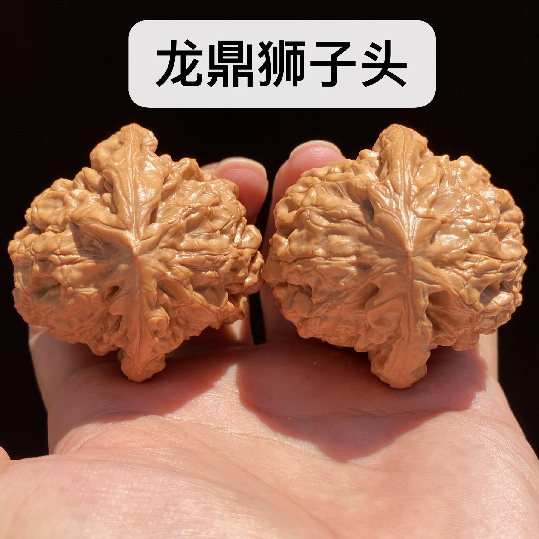大粗筋狮子头 43尺 平谷大粗筋狮子头文玩核桃一对鉴定结果2022年11月08日-唐珍收藏