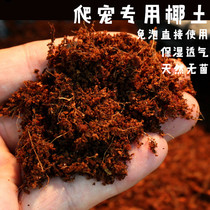 Sterile coconut soil mat turtle hibernating Spider scorpion reptile horned frog moisturizing Moss coconut soil free of direct use