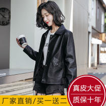 Leather coat women's short spring and autumn new 2021 Haining Korean version of casual motorcycle sheep leather jacket tide