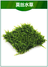 аквариумный прибор для измерения pH воды ph测试笔高精度便携式酸度计 ph值酸碱度防水测试仪 水族箱鱼虾缸 Aisin