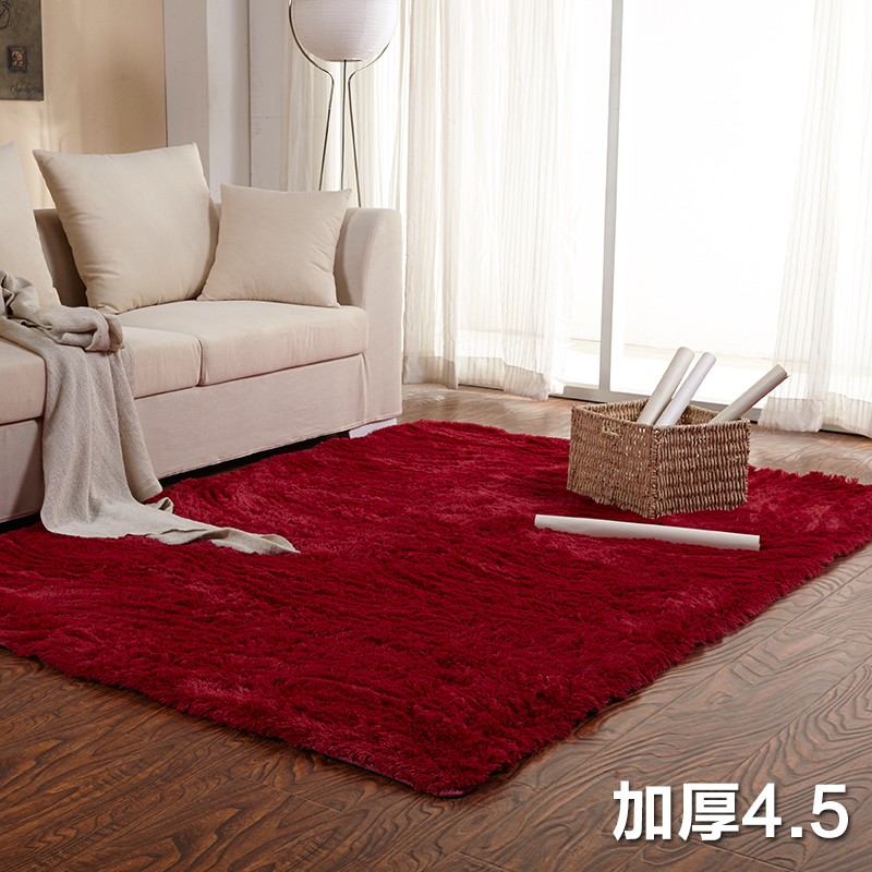 鑫乙达 丝毛加厚卧室客厅地毯床边毯满铺产品展示图5