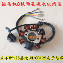 Motorcycle accessories WY125 Jialing JH CB125 Magnetic motor coil chain Machine 8 Pole Two-hole stator assembly