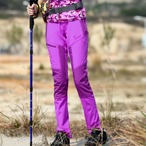 Outdoor quick-drying pants womens spring and summer thin sports elastic loose breathable assault pants mountaineering trousers womens color pattern