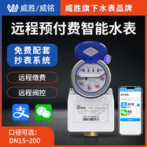 Wei Shengwei Ming Intelligent Afar Prepaid Water Meter Remote Meter Reading Home Rental House Civil Plant Water Meter