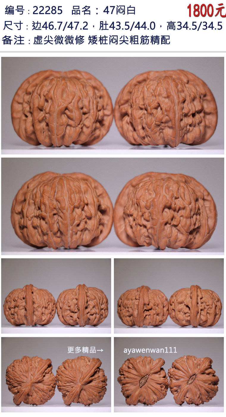 悶尖白獅子頭文玩核桃野生老樹悶白核桃三悶白精配收藏品