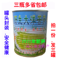 Dragon River Signs Wild Ocean Bitter Shoots Clear Water Bitter Bamboo Shoots Canned Chaoshan JiHakka Special Property * 3 cans