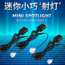 Modern Minimalist 1WLED Lamp Direct Insertion Lamp Highlight Small Scattered Lamp Modification Lamp Mini Bulb Table Lamp Modification