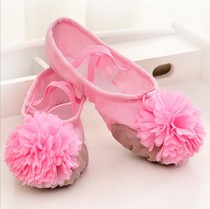 Adult childrens dance shoes girls soft-soled exercise shoes ballet shoes cats claw shoes dancing shoes body yoga shoes