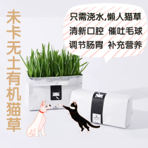 Uncard cat grass VETRESKA Net red lazy cat grass no soil water hair hair ball planting set