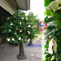 Simulation green large plant Gongxian flower leaf tree Pigeon flower tree Apple leaf decorative landscape potted plastic branches