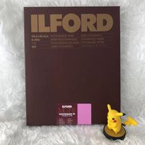 YielfoilFORD variable contraband warm up fibre phase paper (MGFBWT) 8x10 inch 100 sheets
