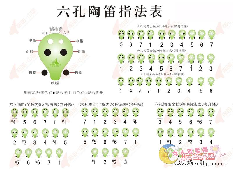 乐理教案怎么写小编计划怎么写才不会流于形式7篇值得一看