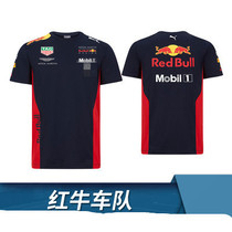 F1 racing suit Red Bull Racing Edition 2020 Alben Verstappen Motorcycle Racing Suit Short Sleeve T-shirt
