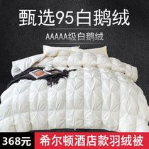 Hilton hotel down quilt 95 white goose down winter quilt spring autumn and winter cotton quilt core winter thickening and warm