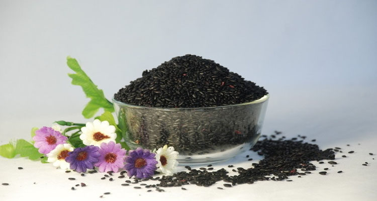 农家现磨纯核桃粉黑芝麻粉黑米粉 早餐冲饮天然即食杂粮粉300克