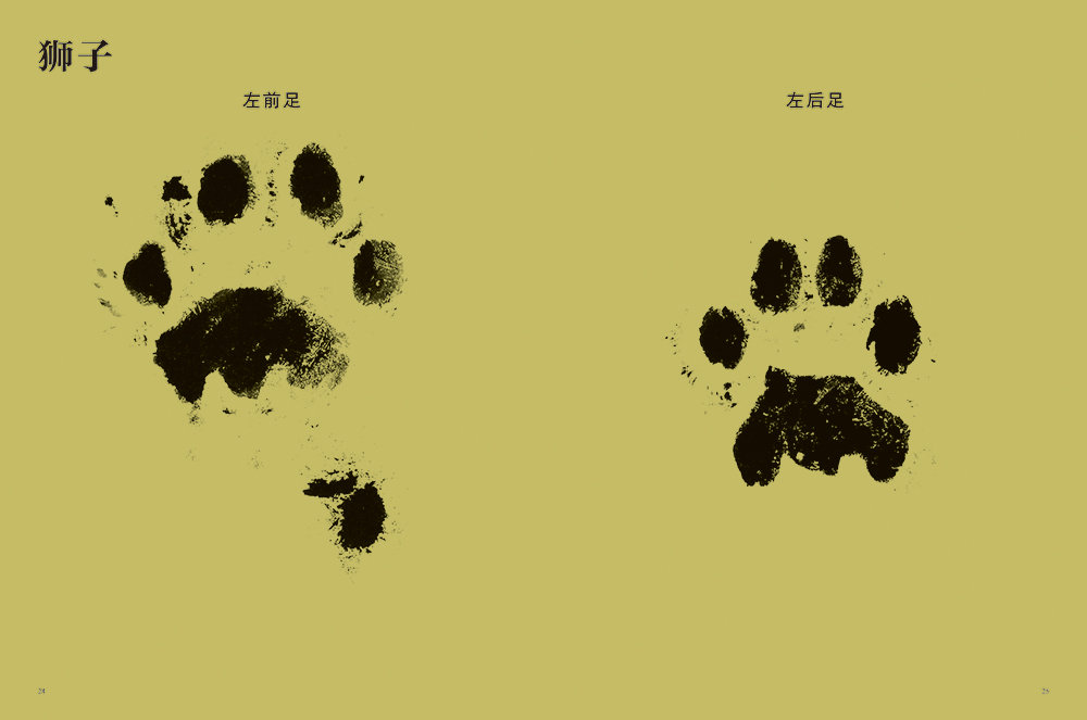 动物的脚印 どうぶつのあしがたずかん