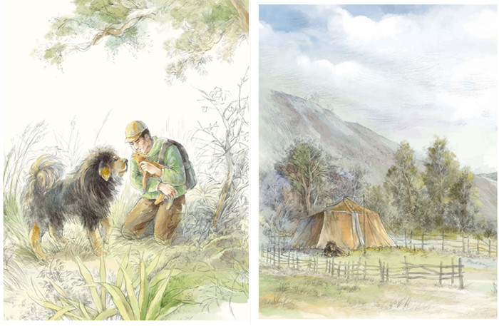 沈石溪画本(*辑)·藏獒渡魂