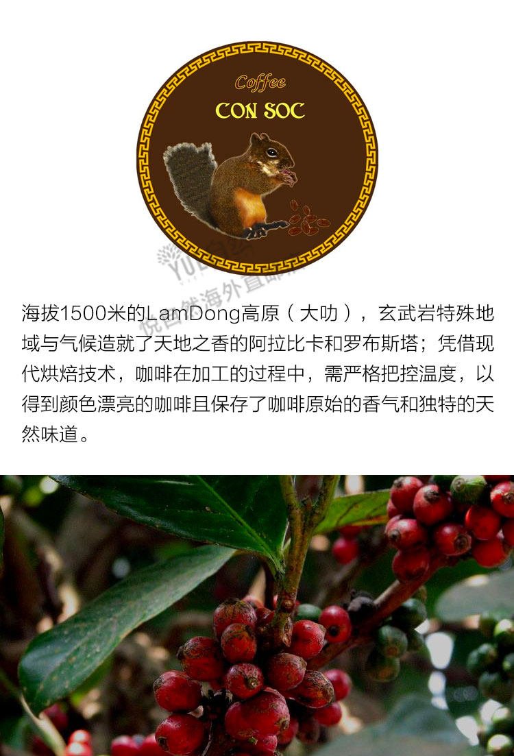 越南代购直邮越南松鼠牌consoc咖啡单盒过滤咖啡粉红色款