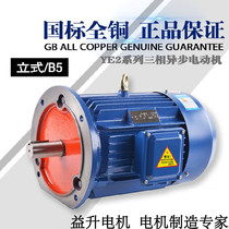 New copper wire national standard Y160M-6 pole 7 5KW kW three-phase asynchronous motor motor 380V high efficiency and energy saving