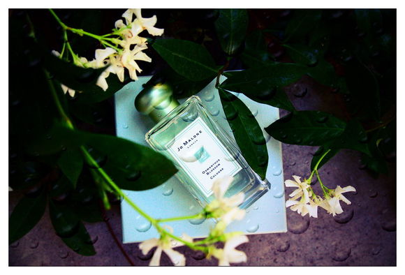 祖马龙桂花复刻osmanthus blossom限量jo malone香水分装试管小样"