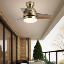 26 inch dining room bedroom balcony ceiling fan light simple ceiling ultra-thin small ceiling fan Dressing room aisle ceiling fan with light