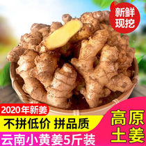 Yunnan Xiaohuang ginger 10 kg ginger fresh vegetable batch moon ginger tender ginger soil ginger Old ginger now dig now hair 5