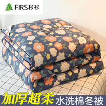 Wash cotton quilt winter thickened warm spring and autumn thin Four Seasons universal quilt core single double cotton quilt space quilt