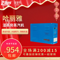 Sauna wet steam commercial water sink whole body steaming furnace sweat steam oven wet steam machine sauna equipment sauna steam oven steam engine