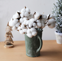 Eternal flower dried flower cotton Christmas accessories shooting props ornaments Christmas tree decoration Children diy material