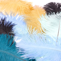 Natural ostrich feather rouge pink decorative feather wedding dress floral wedding accessories 5 sets