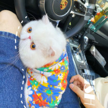 Pet Clothes Spring Summer New Cat Puppies Clothes Public Cat Little Daisy Flowers Shirt To Prevent Hair Handsome Short Sleeves
