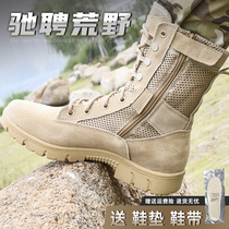 Outdoor summer desert boots mens hiking shoes breathable hiking shoes Mesh non-slip ultra-light combat mens boots Marine boots