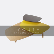 IYOUTH Spain imported Nordic minimalist modern fashion design solid wood living room combination coffee table coffee side table