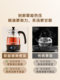 Jinzhao A-52 차 보일러 증기 스프레이 타입 주전자 홍차 홍차 증기기 증기선 건강 냄비 전기 차 스토브 홈 사용 Jinzhao A-52 차 보일러 증기 스프레이 타입 주전자 홍차 홍차 증기기 증기선 건강 냄비 전기 차 스토브 홈 사용