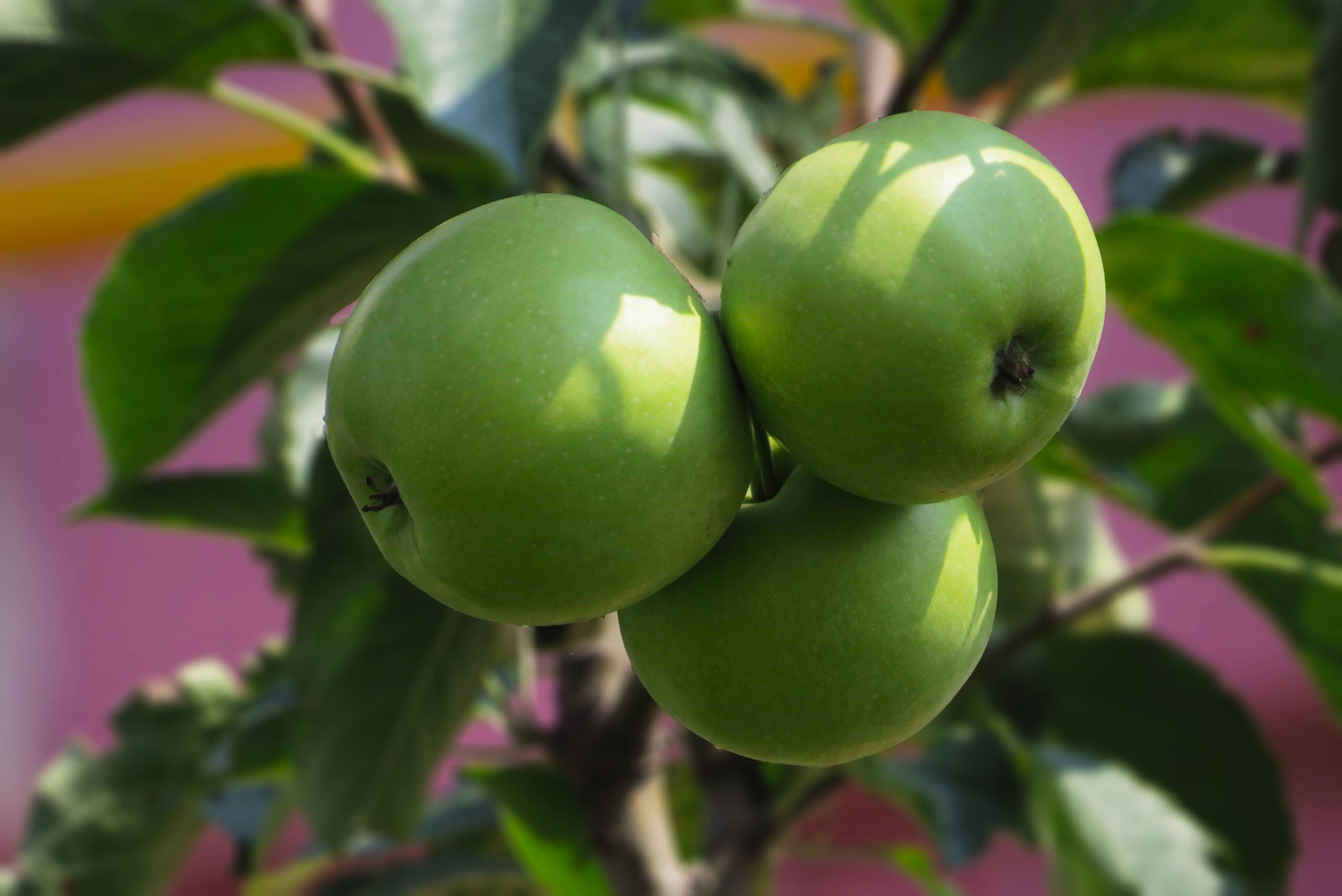 牙齿变白小窍门,速度围观!