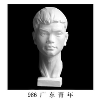 Art supplies sketch ceramic static pottery can write raw gypsum teaching aids like Guangdong Youth 50CM