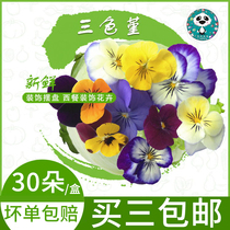 Lingzhi cuisine Fresh pansy edible flowers Catering hotel set three Sichuan and Chongqing plus 30 packs