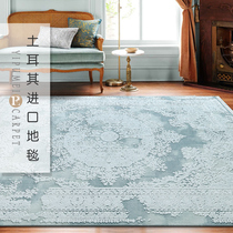 Turkey Import Superior Modern Light Lavish Living Room Carpet American Minimalist Color Pure Color Bedroom Sofa Tea Table Blanket