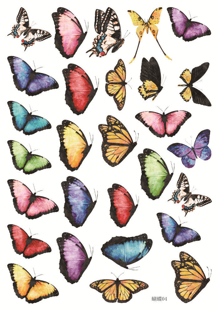 手帐贴纸 相册装饰 水彩花花蝴蝶 笔记本日记手账贴纸 8张包邮