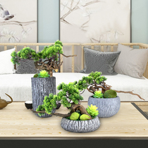 New Chinese style simulation green plant bonsai decoration Living room study Welcome pine decorations Pine and cypress tree fake flower decoration Floral art