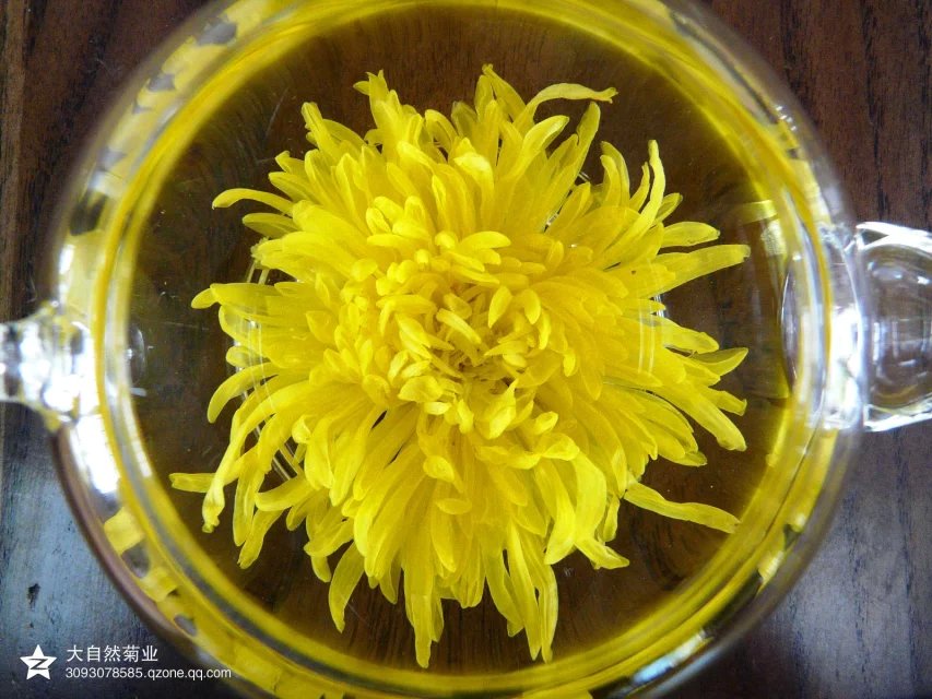 开封特产大自然菊花茶天娇超大菊王金丝皇菊花草茶铁罐礼盒装12朵_7折