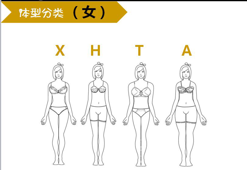 前两天小编逛知乎看到一个帖子对各类身形的分析很独特