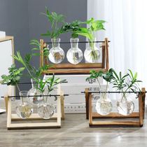 Creative wood shelf Desktop hydroponic glass vases Green Lori Plant Flower Pots Container Swing office Living room Decoration